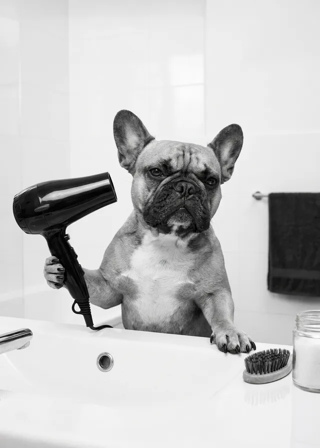 Bad Hair Day Pup