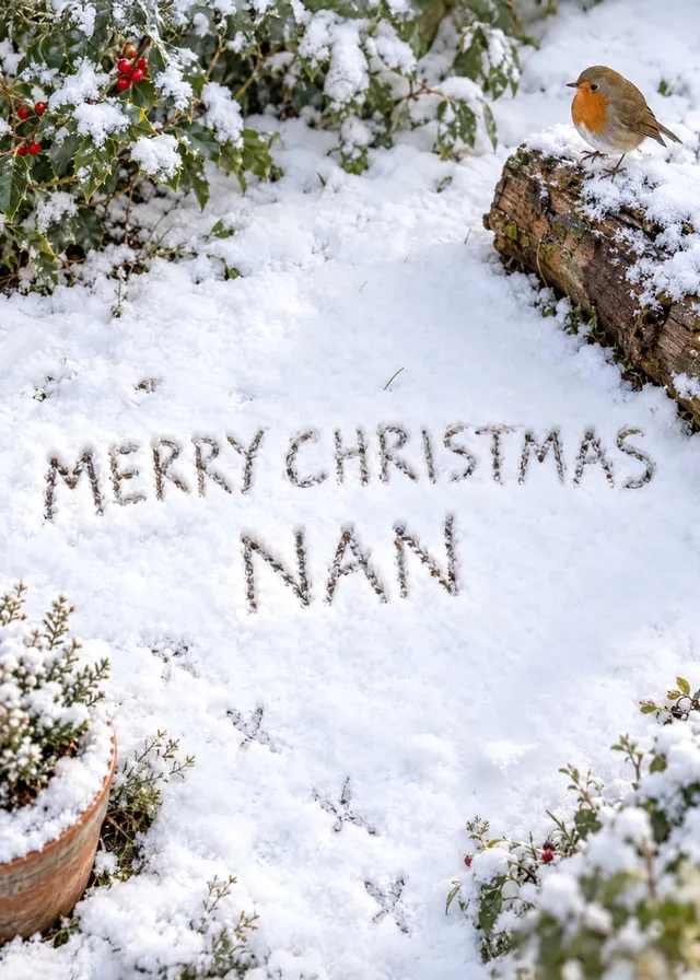 Christmas Robin In The Snow