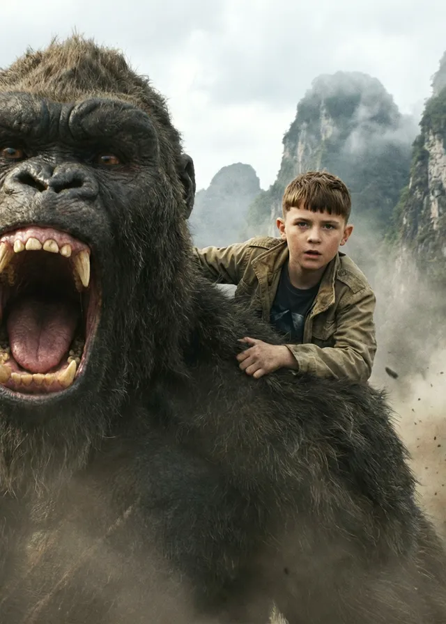 Gorilla Birthday