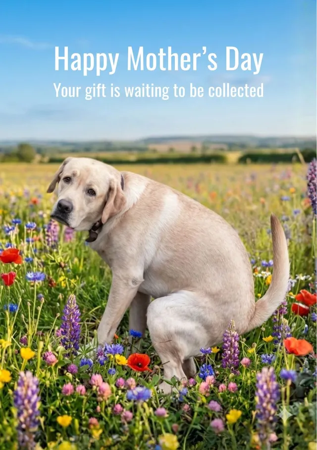 Gift collection