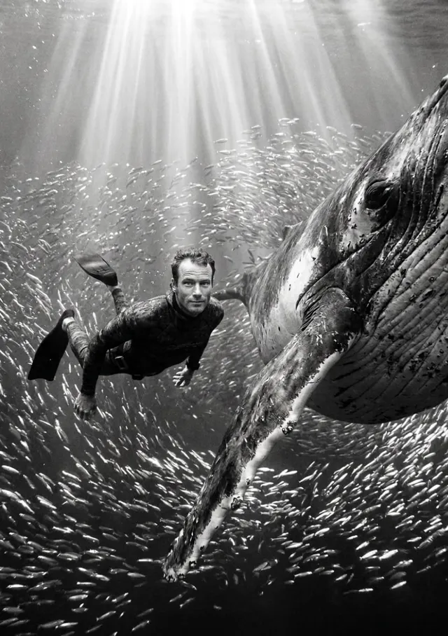 Deep Sea Whale Encounter