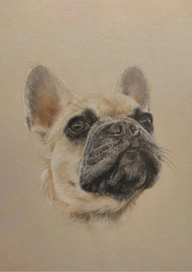 Pastel Pet Sketch