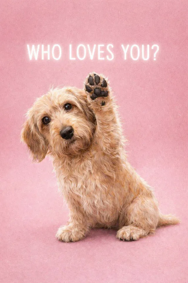 Puppy high five